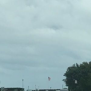 Meet your Posher, Frieda